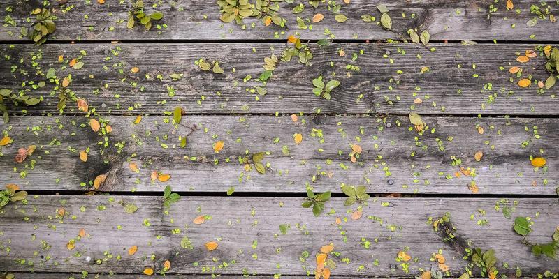 从南特出发：一日穿越中世纪时光，探秘克勒索、盖朗德与永河畔拉罗什