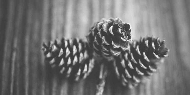 南特44：卢瓦尔河畔的文化熔炉，重塑法国旅游版图