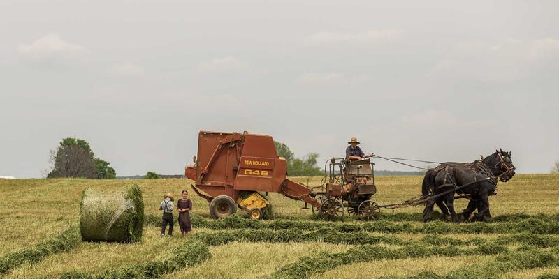 南特家庭旅行指南：探索文化与亲子景点，体验互动博物馆与交通全攻略