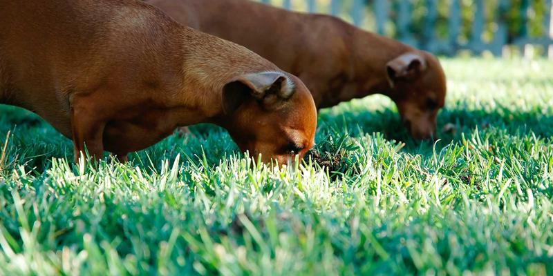 南特小众博物馆探秘：多布雷考古博物馆与印刷艺术馆的文化魅力