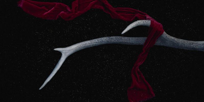 南特必游指南：探索布列塔尼公爵城堡与哥特式大教堂的千年传奇