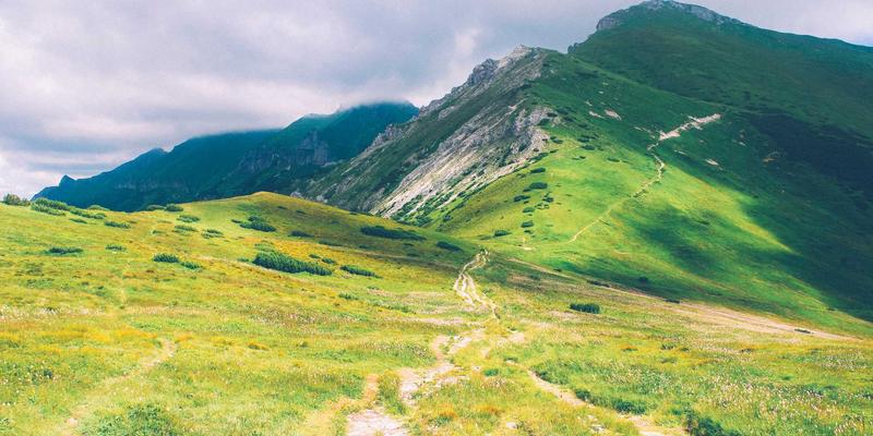 南特植物园：法国旅游不可错过的市中心绿洲与温室奇观