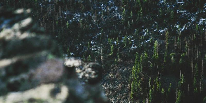 南特生活成本全解析：在探索法国旅游胜地的同时精明生活