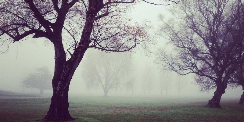 南特终极旅行指南：探索卢瓦尔河畔的机械艺术与历史瑰宝