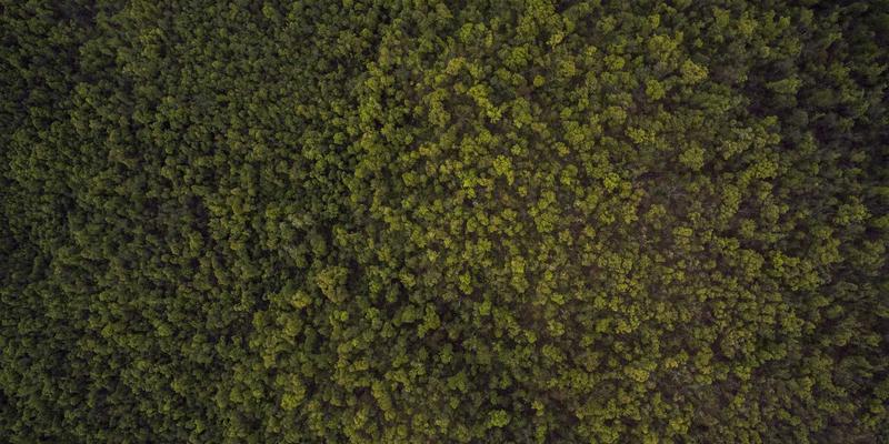 南特绿色出行指南：骑行探索法国文化与历史的生态旅游路线