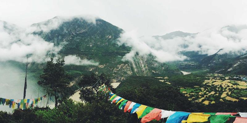 南特葡萄酒之旅：探索慕斯卡德产区的历史、葡萄园与必体验