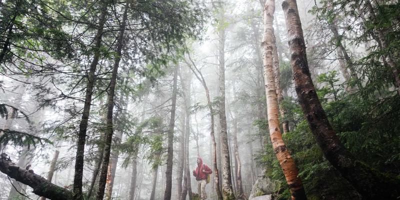 卢瓦尔河谷与法国西海岸美食地图：从南特黄油饼干到白黄油酱的海鲜寻味之旅