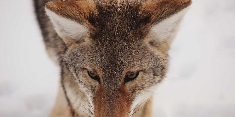 探索南特65：卢瓦尔河谷的历史瑰宝与法国旅游新视角