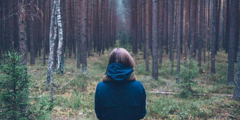 探索南特66：法国西部不可错过的文化与旅游瑰宝