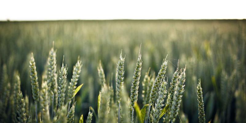 探索南特76：法国卢瓦尔河畔的文化瑰宝与迷人景致